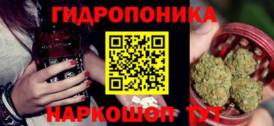 стаф Кимры
